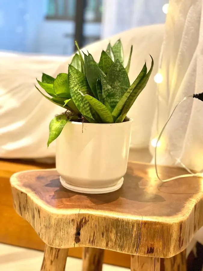 Boho Chic Apartment In La Veleta 1Bdr Τουλούμ