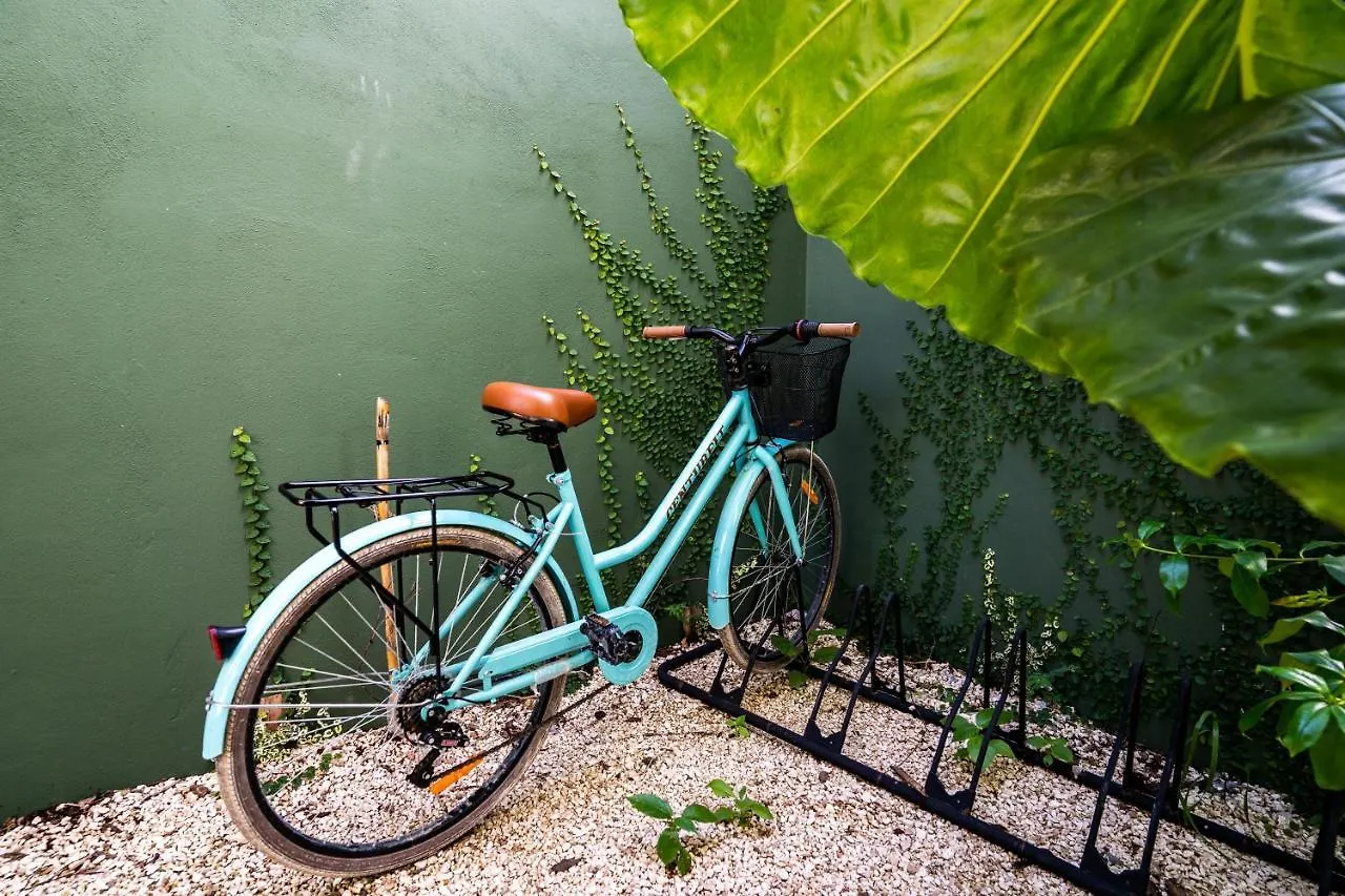 Boho Chic Apartment In La Veleta 1Bdr Tulum